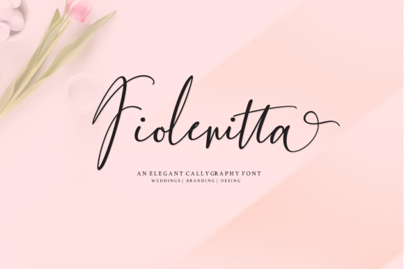 Fiolenitta: The Font That Elevates Your Brand’s Visual Story