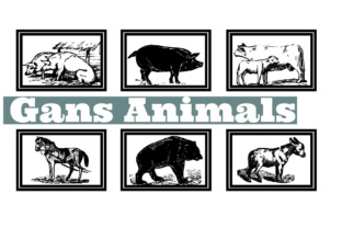 Gans Animals: A Font for Visual Storytelling and Brand Impact