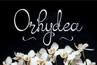 Orhydea: The Perfect Script Font for Small Business Branding