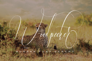 Woodpecker: A Modern Script Font for Elegant Design